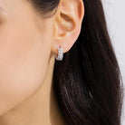 cercei argint tortita cu frunze de laur